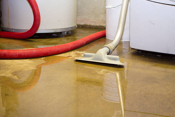  , USA Water damage restoration Pros